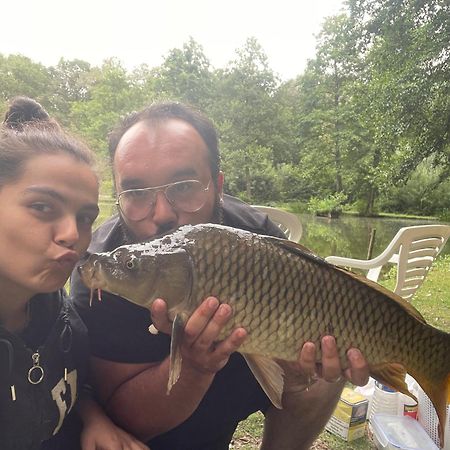 Le Gite De Illian Saint-Michel  Bagian luar foto